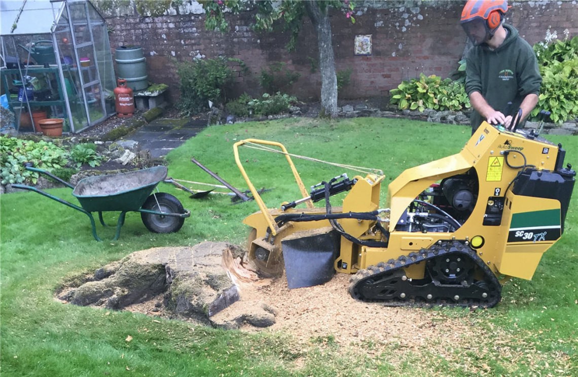 Stump Grinding & Removal-Greenacres Tree Trimming and Tree Removal Services-We Offer Tree Trimming Services, Tree Removal, Tree Pruning, Tree Cutting, Residential and Commercial Tree Trimming Services, Storm Damage, Emergency Tree Removal, Land Clearing, Tree Companies, Tree Care Service, Stump Grinding, and we're the Best Tree Trimming Company Near You Guaranteed!