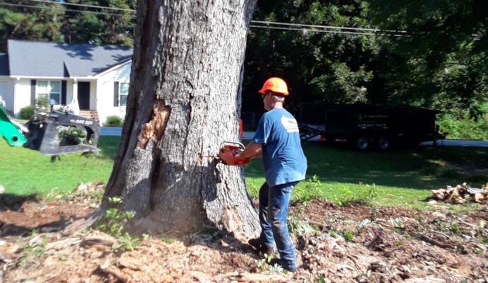Tree Pruning & Tree Removal-Greenacres Tree Trimming and Tree Removal Services-We Offer Tree Trimming Services, Tree Removal, Tree Pruning, Tree Cutting, Residential and Commercial Tree Trimming Services, Storm Damage, Emergency Tree Removal, Land Clearing, Tree Companies, Tree Care Service, Stump Grinding, and we're the Best Tree Trimming Company Near You Guaranteed!