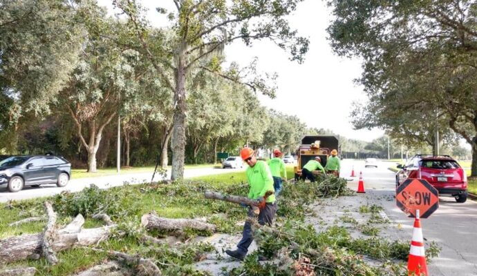 Commercial-Tree-Services-Affordable-Pro-Tree-Trimming-Removal-Team-of-Greenacres