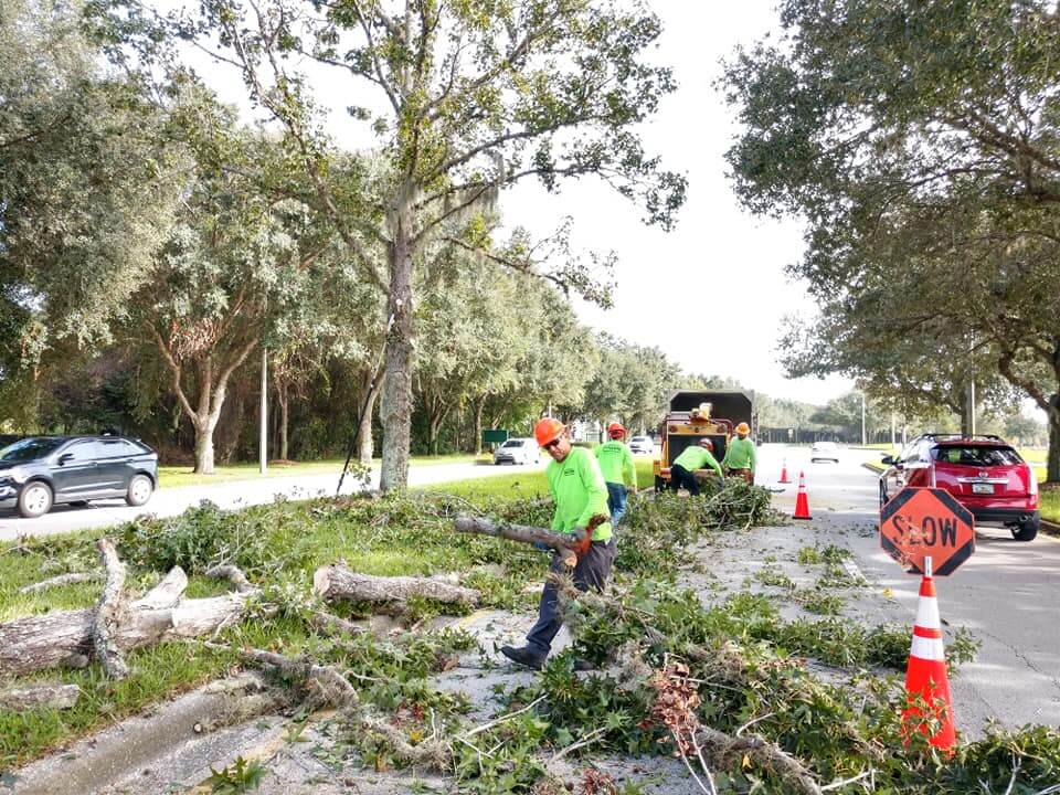 Commercial-Tree-Services-Affordable-Pro-Tree-Trimming-Removal-Team-of-Greenacres