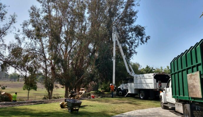Commercial Tree Services Greenacres-Pro Tree Trimming & Removal Team of Greenacres