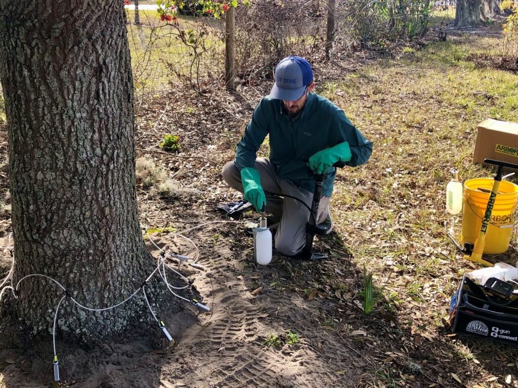 Deep-Root-Injection-Affordable-Pro-Tree-Trimming-Removal-Team-of-Greenacres