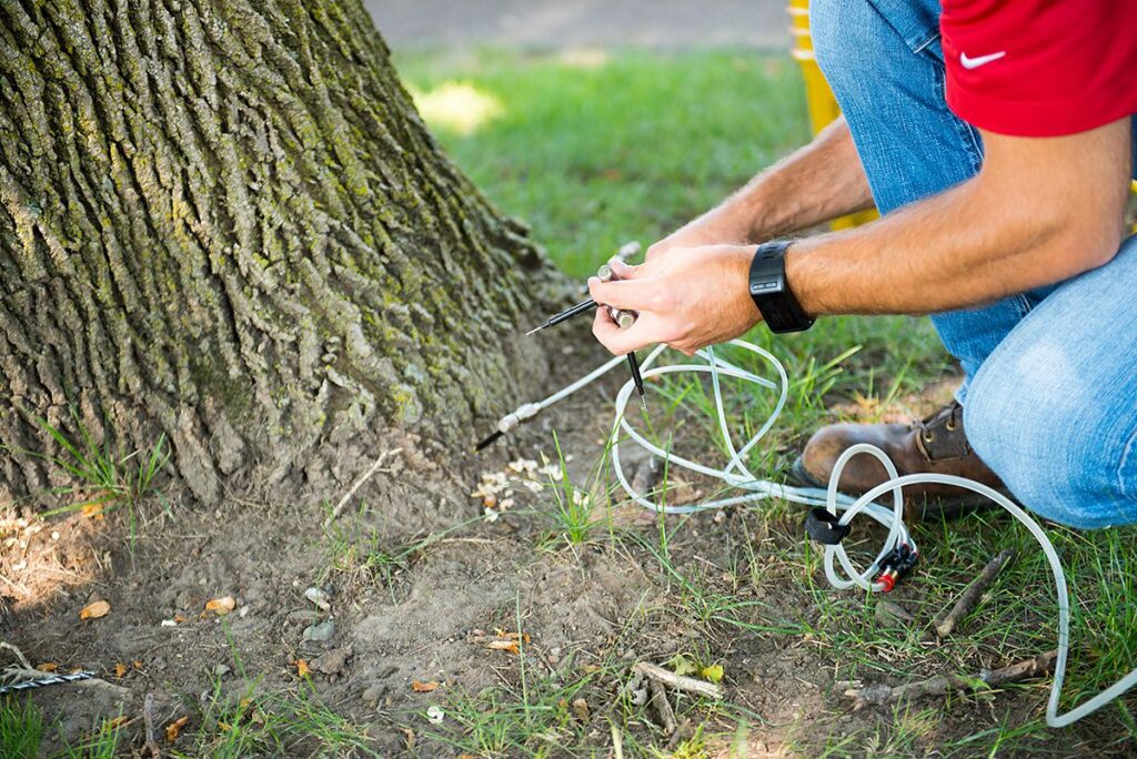 Deep Root Injection Near Me-Pro Tree Trimming & Removal Team of Greenacres