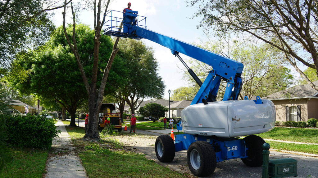 Greenacres Residential Tree Services-Pro Tree Trimming & Removal Team of Greenacres
