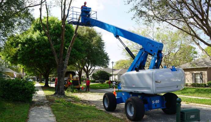 Greenacres Residential Tree Services-Pro Tree Trimming & Removal Team of Greenacres