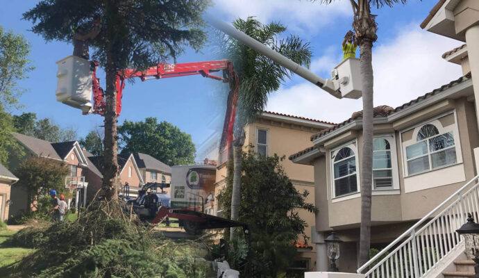 Residential-Tree-Services-Affordable-Pro-Tree-Trimming-Removal-Team-of-Greenacres