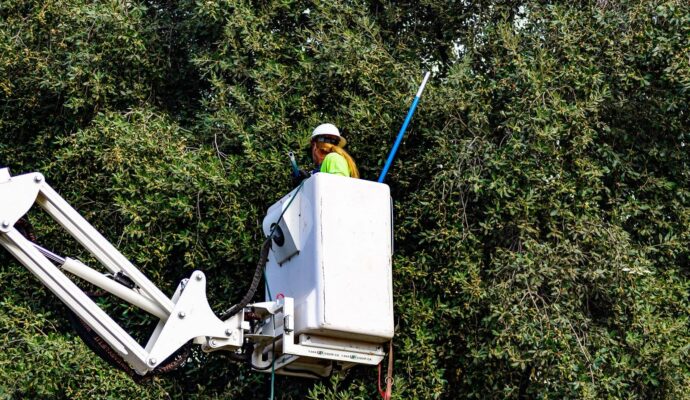 Commercial-Tree-Services-Services Pro-Tree-Trimming-Removal-Team-of- Greenacres