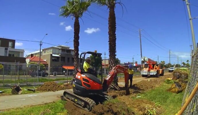Palm Tree Removal-Experts-Pro Tree Trimming & Removal Team of Greenacres