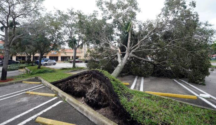 Storm Damage-Experts-Pro Tree Trimming & Removal Team of Greenacres