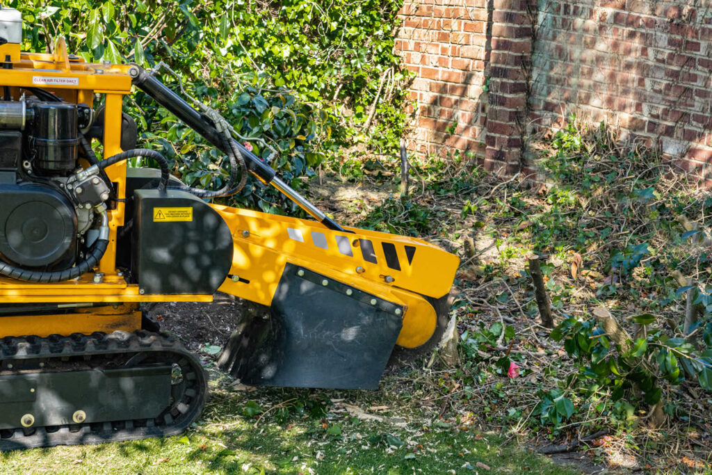 Stump Grinding-Experts-Pro Tree Trimming & Removal Team of Greenacres