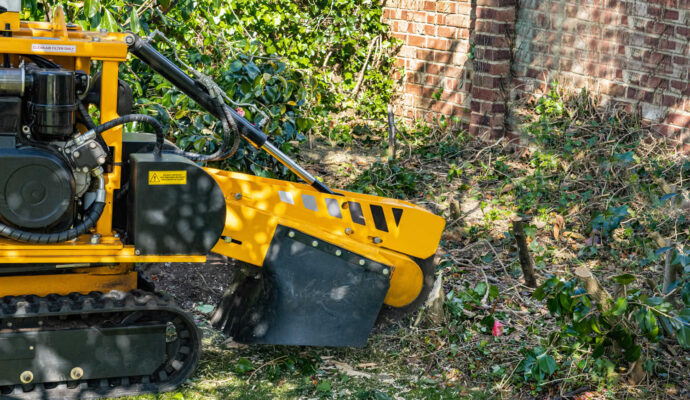 Stump Grinding-Experts-Pro Tree Trimming & Removal Team of Greenacres