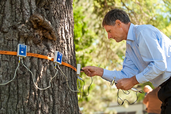 Tree Surgeon-Pros-Pro Tree Trimming & Removal Team of Greenacres