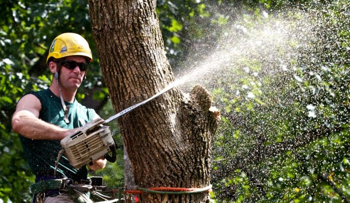 Tree Trimming-Pros-Pro Tree Trimming & Removal Team of Greenacres