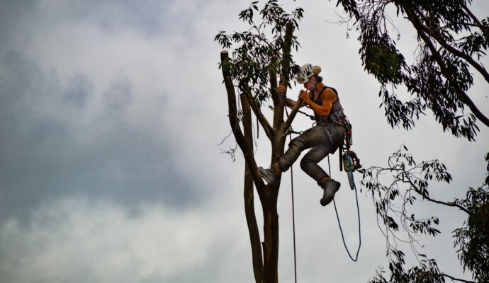 Tree-Trimming-Services-Services Pro-Tree-Trimming-Removal-Team-of Greenacres